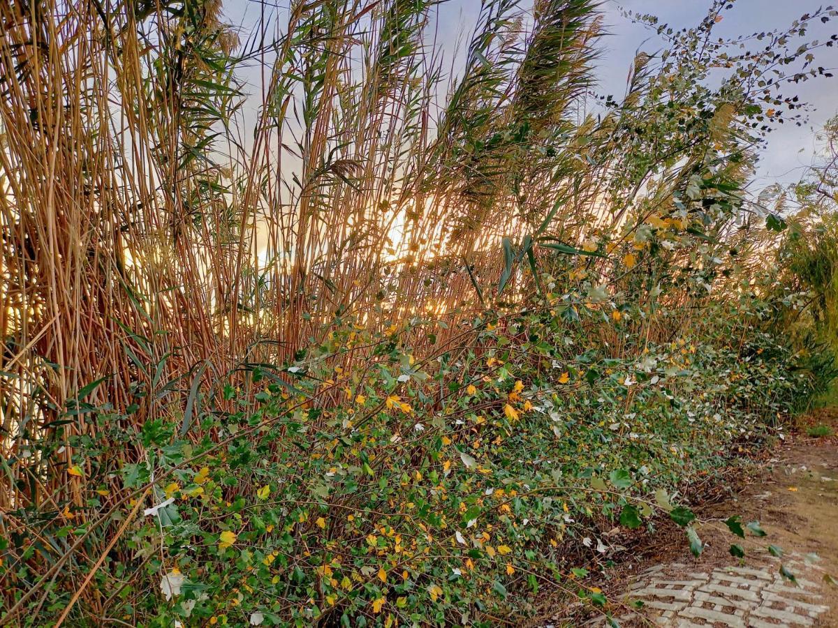 L'Hotelet Del Delta - Adults Deltebre Exterior foto